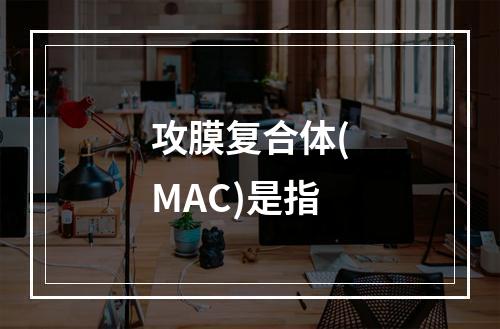 攻膜复合体(MAC)是指