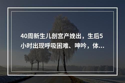 40周新生儿剖宫产娩出，生后5小时出现呼吸困难、呻吟，体检：