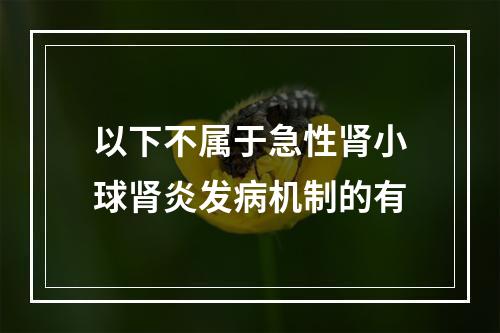 以下不属于急性肾小球肾炎发病机制的有