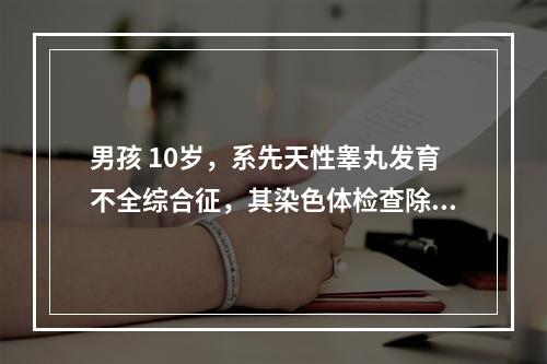 男孩 10岁，系先天性睾丸发育不全综合征，其染色体检查除下列