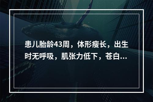 患儿胎龄43周，体形瘦长，出生时无呼吸，肌张力低下，苍白，全