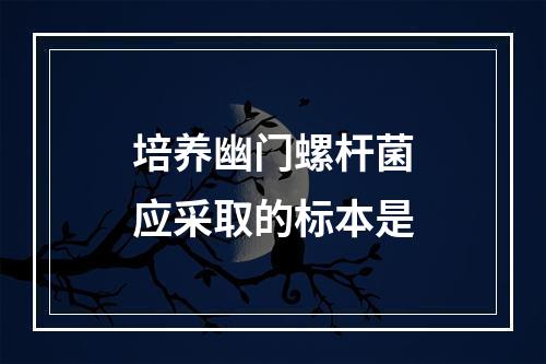 培养幽门螺杆菌应采取的标本是