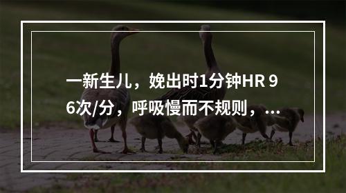 一新生儿，娩出时1分钟HR 96次/分，呼吸慢而不规则，四肢