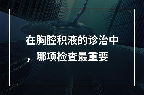 在胸腔积液的诊治中，哪项检查最重要