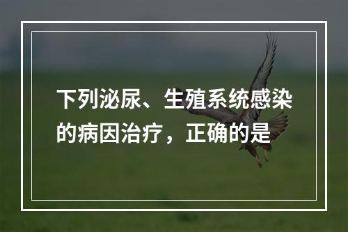 下列泌尿、生殖系统感染的病因治疗，正确的是