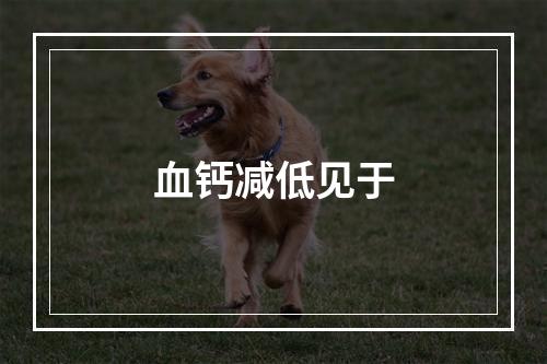 血钙减低见于