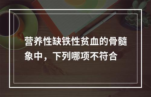 营养性缺铁性贫血的骨髓象中，下列哪项不符合