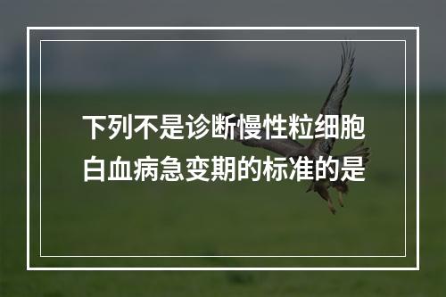 下列不是诊断慢性粒细胞白血病急变期的标准的是