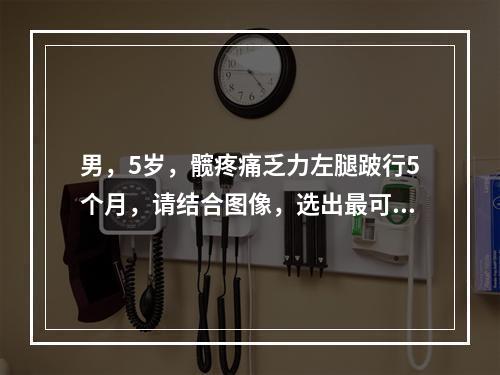 男，5岁，髋疼痛乏力左腿跛行5个月，请结合图像，选出最可能的