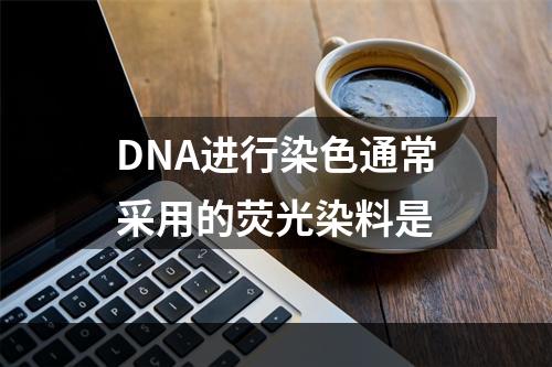 DNA进行染色通常采用的荧光染料是