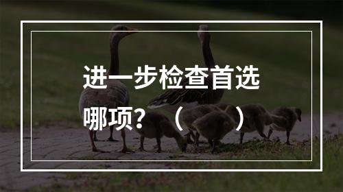 进一步检查首选哪项？（　　）