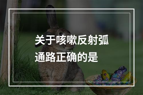 关于咳嗽反射弧通路正确的是