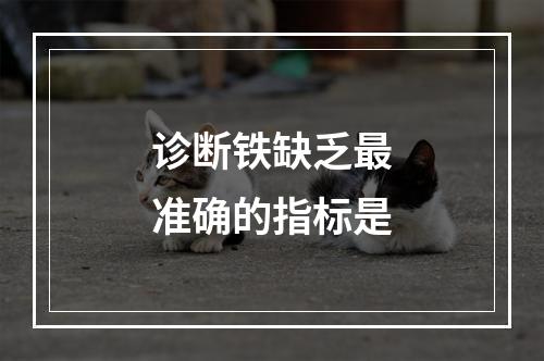 诊断铁缺乏最准确的指标是