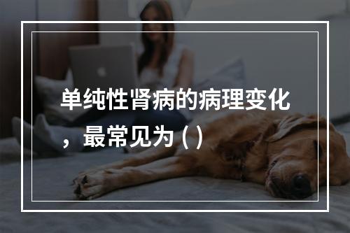 单纯性肾病的病理变化，最常见为 ( )