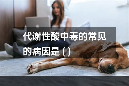 代谢性酸中毒的常见的病因是 ( )