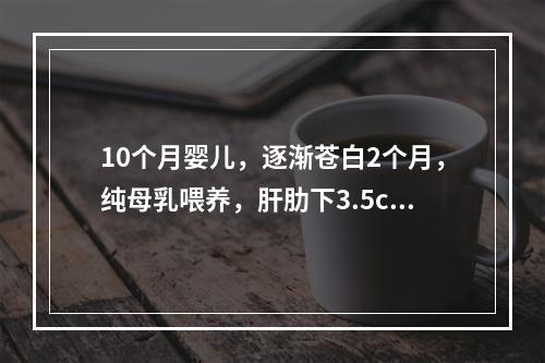 10个月婴儿，逐渐苍白2个月，纯母乳喂养，肝肋下3.5cm，