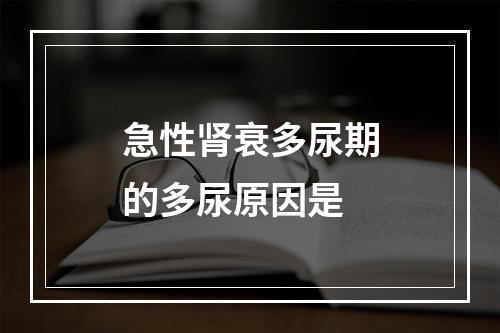 急性肾衰多尿期的多尿原因是