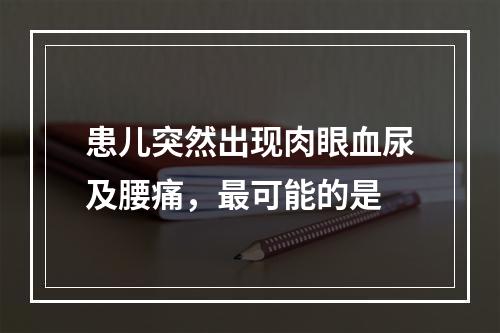 患儿突然出现肉眼血尿及腰痛，最可能的是