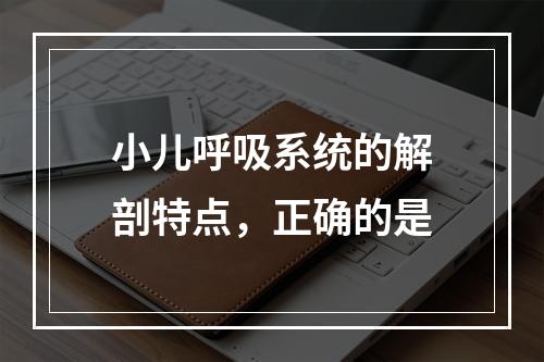 小儿呼吸系统的解剖特点，正确的是