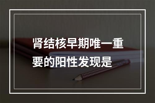 肾结核早期唯一重要的阳性发现是