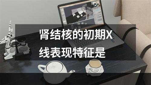 肾结核的初期X线表现特征是