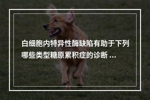 白细胞内特异性酶缺陷有助于下列哪些类型糖原累积症的诊断 (