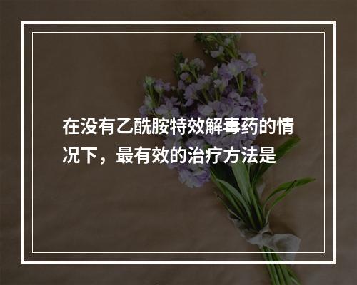 在没有乙酰胺特效解毒药的情况下，最有效的治疗方法是