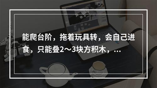 能爬台阶，拖着玩具转，会自己进食，只能叠2～3块方积木，最可