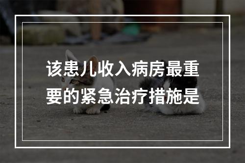 该患儿收入病房最重要的紧急治疗措施是