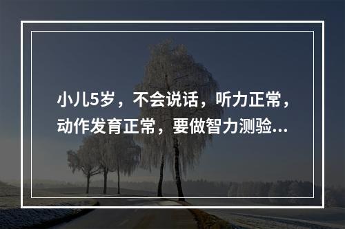 小儿5岁，不会说话，听力正常，动作发育正常，要做智力测验首选