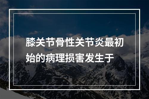 膝关节骨性关节炎最初始的病理损害发生于