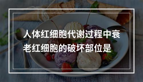 人体红细胞代谢过程中衰老红细胞的破坏部位是