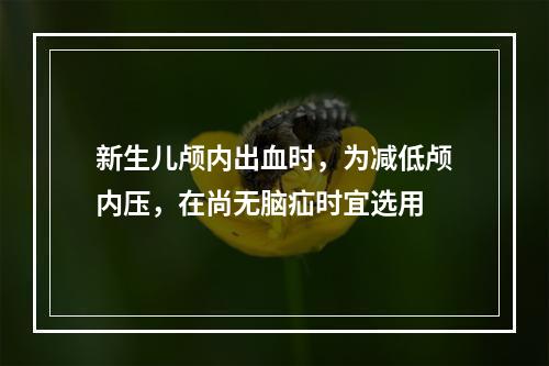 新生儿颅内出血时，为减低颅内压，在尚无脑疝时宜选用