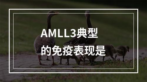 AMLL3典型的免疫表现是