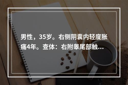 男性，35岁。右侧阴囊内轻度胀痛4年。查体：右附睾尾部触及一