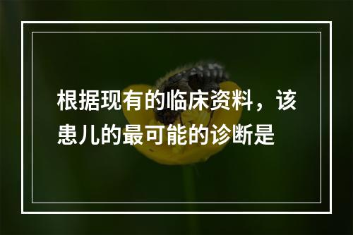 根据现有的临床资料，该患儿的最可能的诊断是