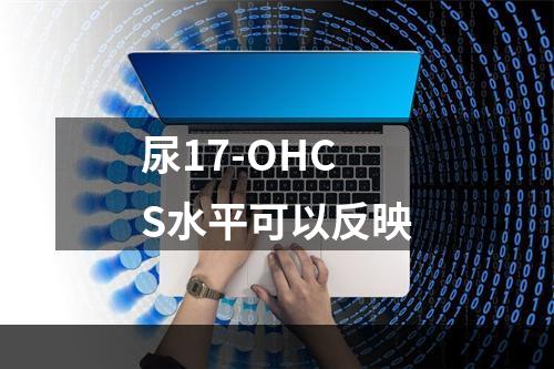 尿17-OHCS水平可以反映