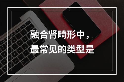 融合肾畸形中，最常见的类型是