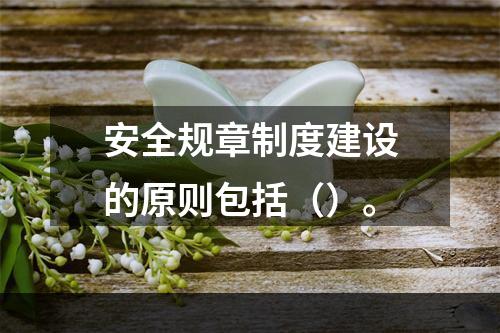 安全规章制度建设的原则包括（）。