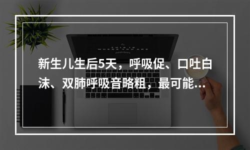 新生儿生后5天，呼吸促、口吐白沫、双肺呼吸音略粗，最可能的诊