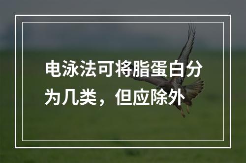 电泳法可将脂蛋白分为几类，但应除外