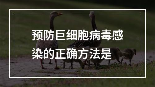 预防巨细胞病毒感染的正确方法是