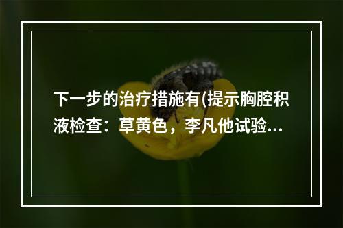 下一步的治疗措施有(提示胸腔积液检查：草黄色，李凡他试验（＋