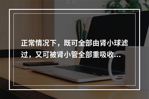 正常情况下，既可全部由肾小球滤过，又可被肾小管全部重吸收的是