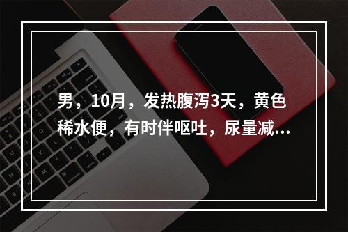 男，10月，发热腹泻3天，黄色稀水便，有时伴呕吐，尿量减少，