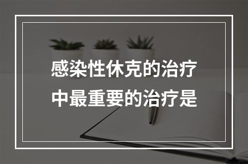 感染性休克的治疗中最重要的治疗是