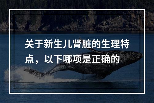 关于新生儿肾脏的生理特点，以下哪项是正确的