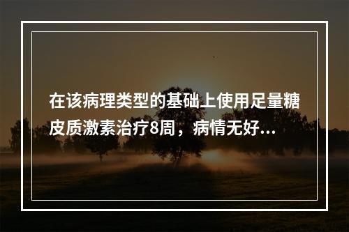 在该病理类型的基础上使用足量糖皮质激素治疗8周，病情无好转，