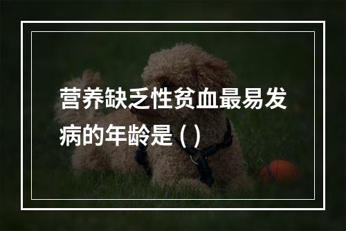 营养缺乏性贫血最易发病的年龄是 ( )