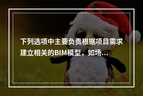 下列选项中主要负责根据项目需求建立相关的BIM模型，如场地模